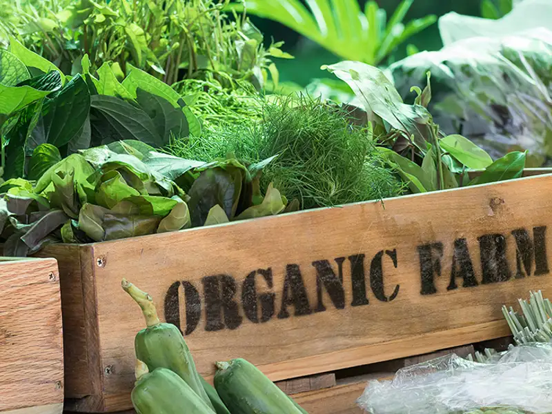 A wooden crate of produce from an organic farm.