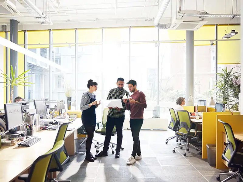 Three standing office workers in casual attire review papers together in a sunny shared space office.