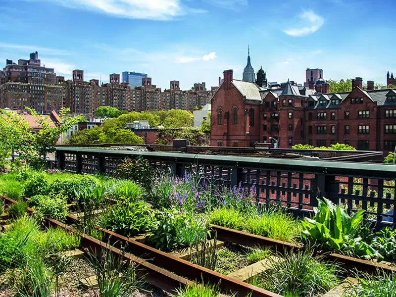 Weeds grow through rusty, unused train tracks along a dense area of buildings.