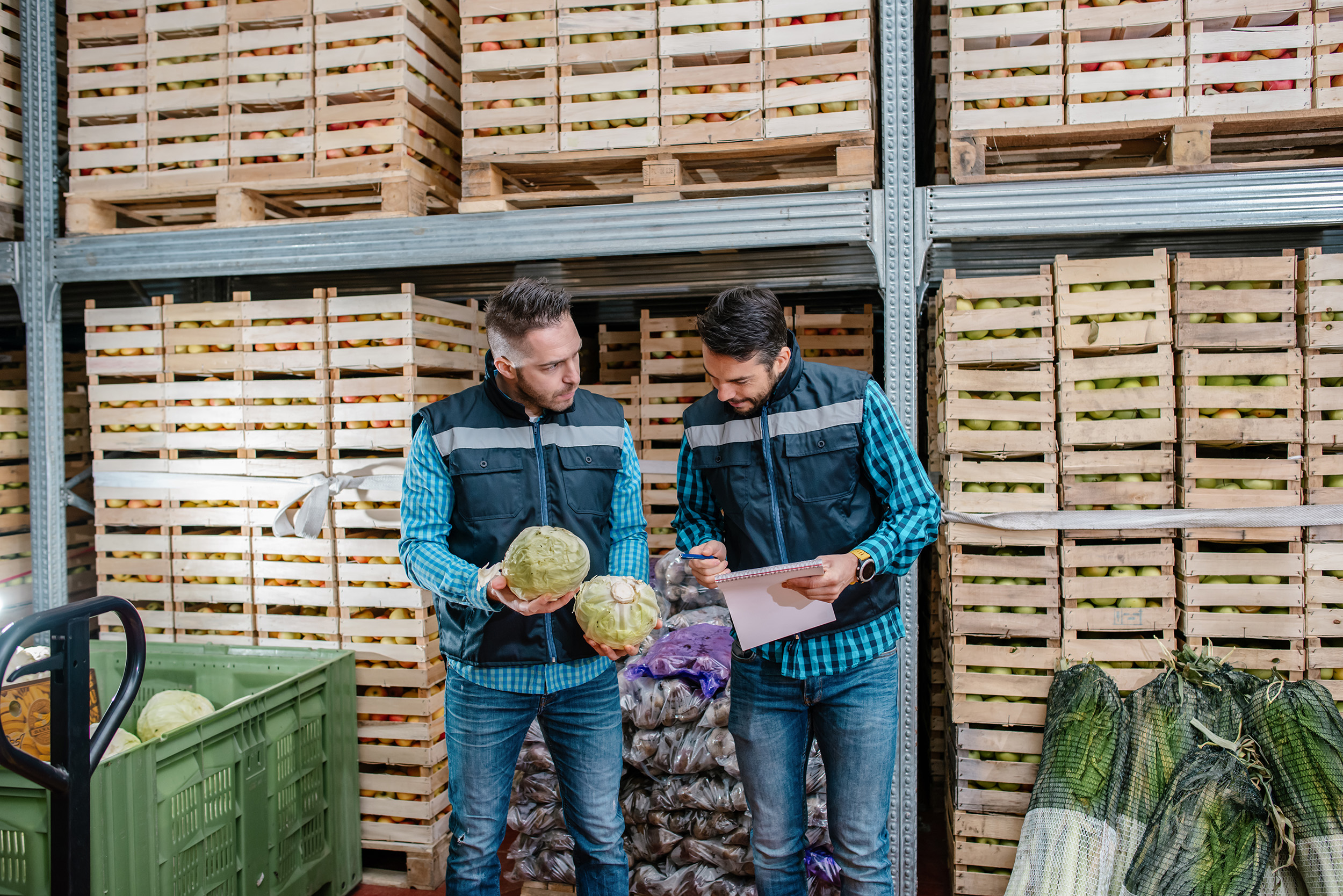 Food distributers inspect fresh product.