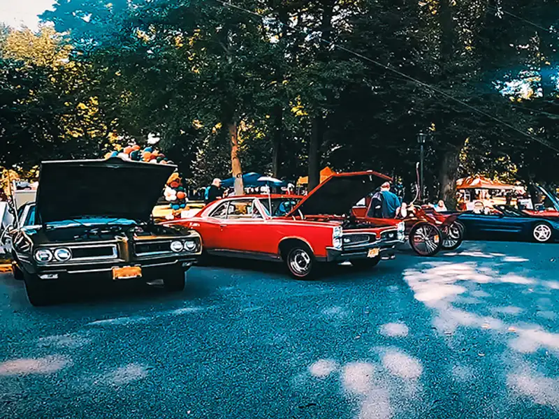 A collection of classic cars on display at a park.