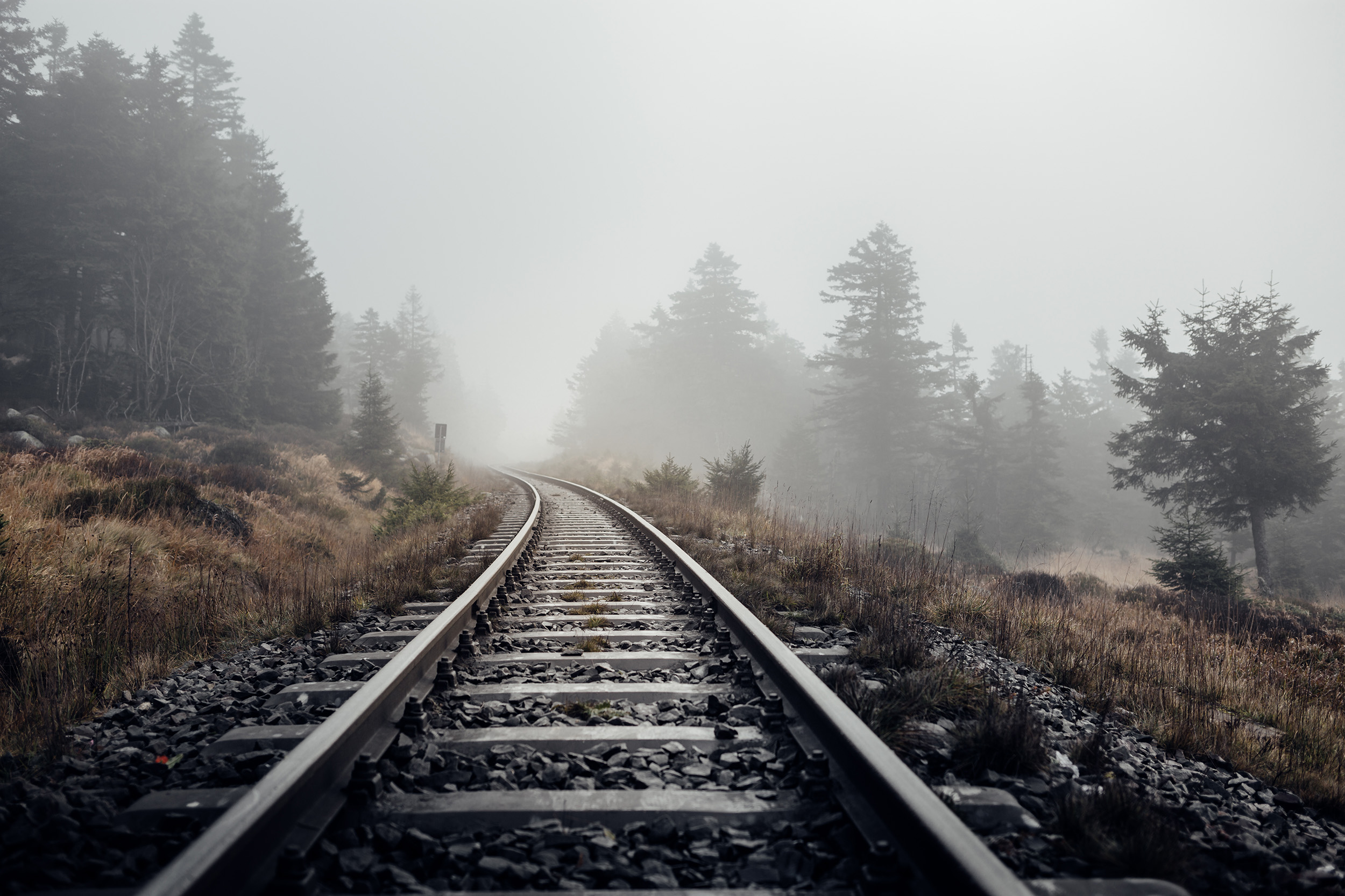 Train tracks run into the distance in a foggy wilderness landscape.