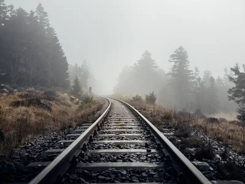 Train tracks run into the distance in a foggy wilderness landscape.