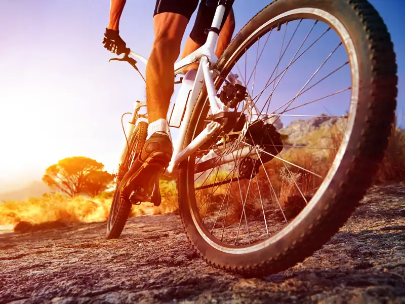 A mountain biker climbs a rocky hill.