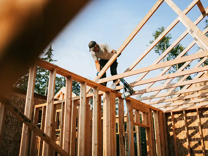 A framer is perched atop the wooden beams of an unfinished pitched roof.