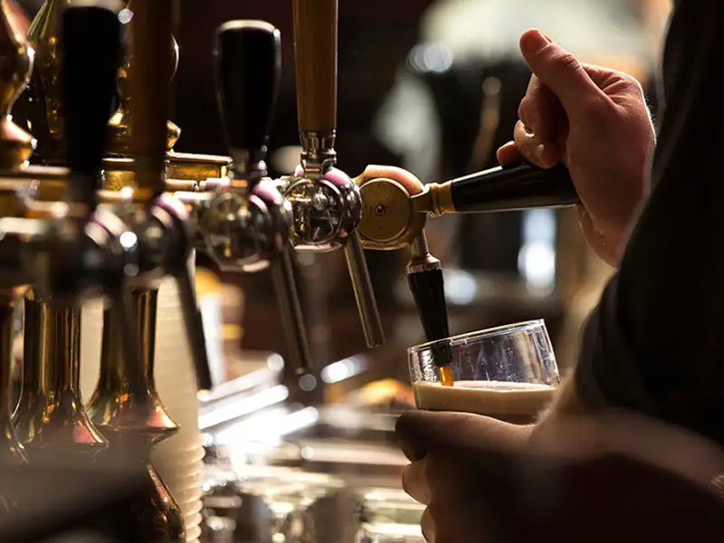 A bartender pours a draft beer into a tall glass.