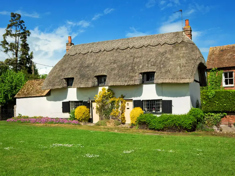 A quaint white thatched roof home with a lush green lawn has a row of lavender flowers and shrubs in front.