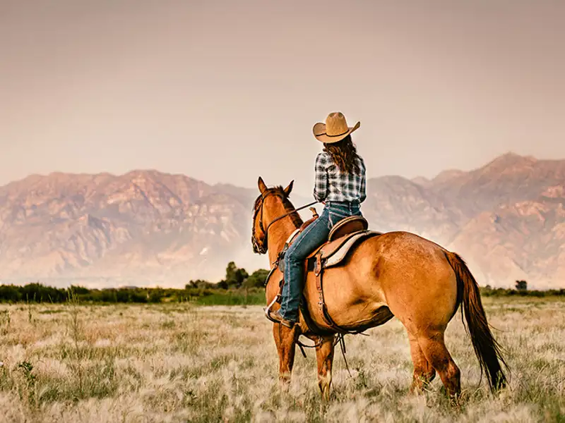 A lone rider on a horse surveys the mountains surrounding a prairie landscape.