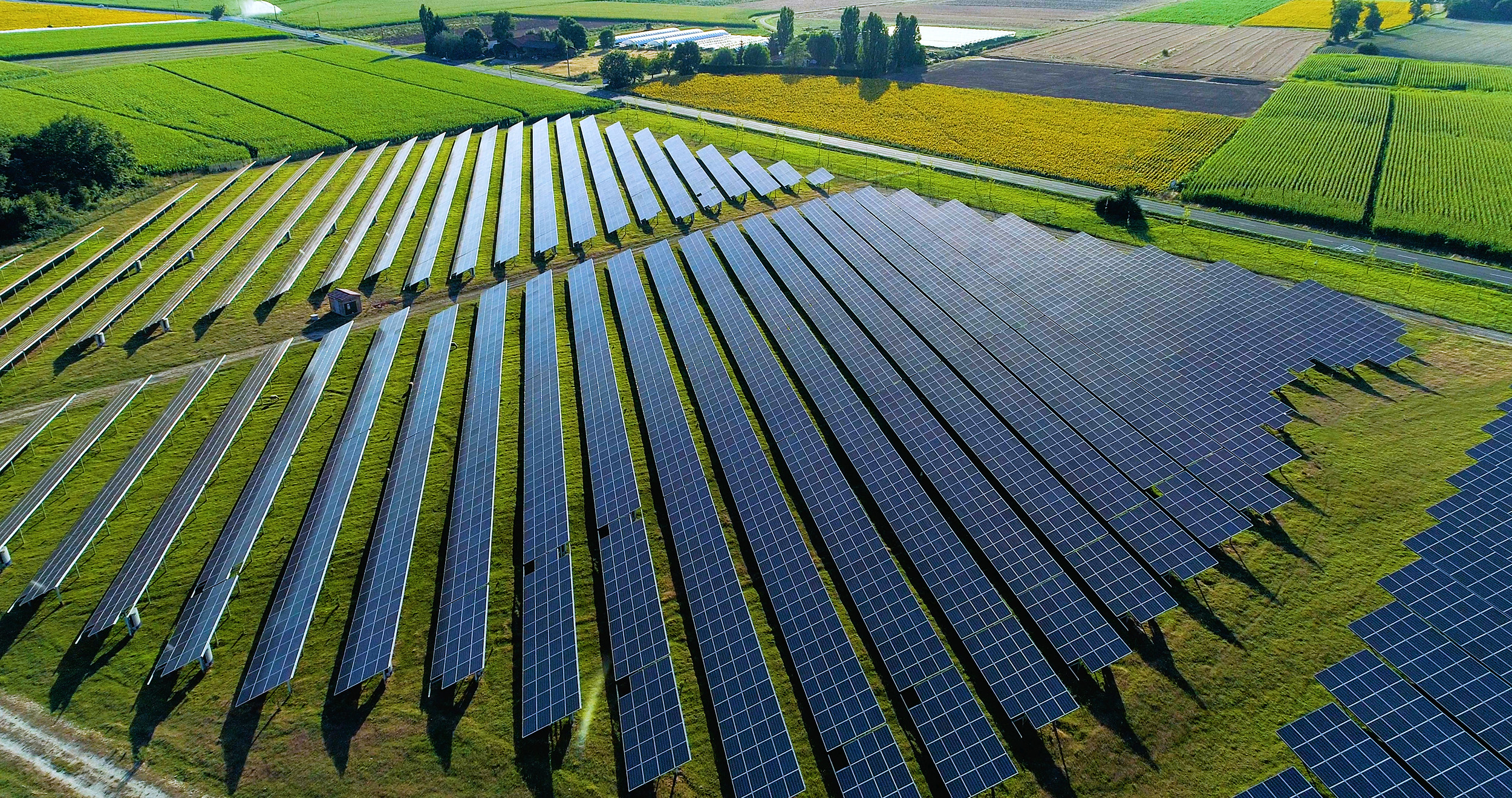 An array of solar panels amidst green fields. 