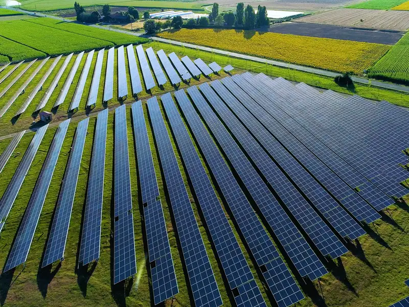 An array of solar panels amidst green fields.